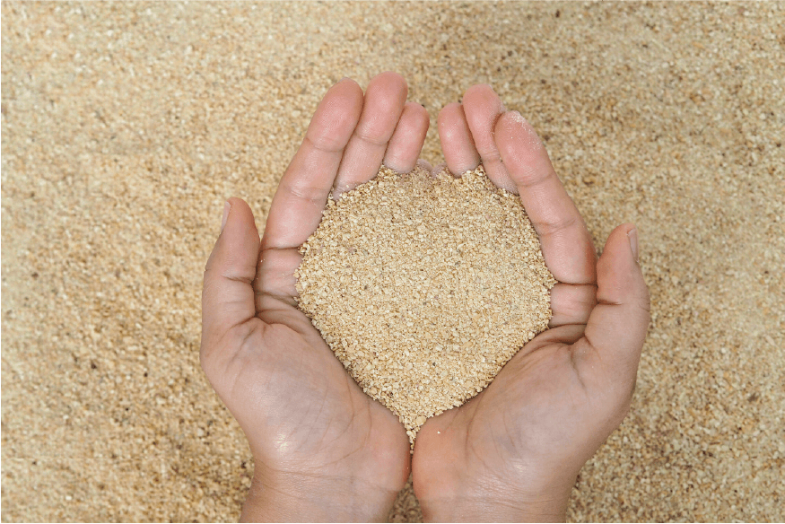 Ruminant Amino ACID Balance